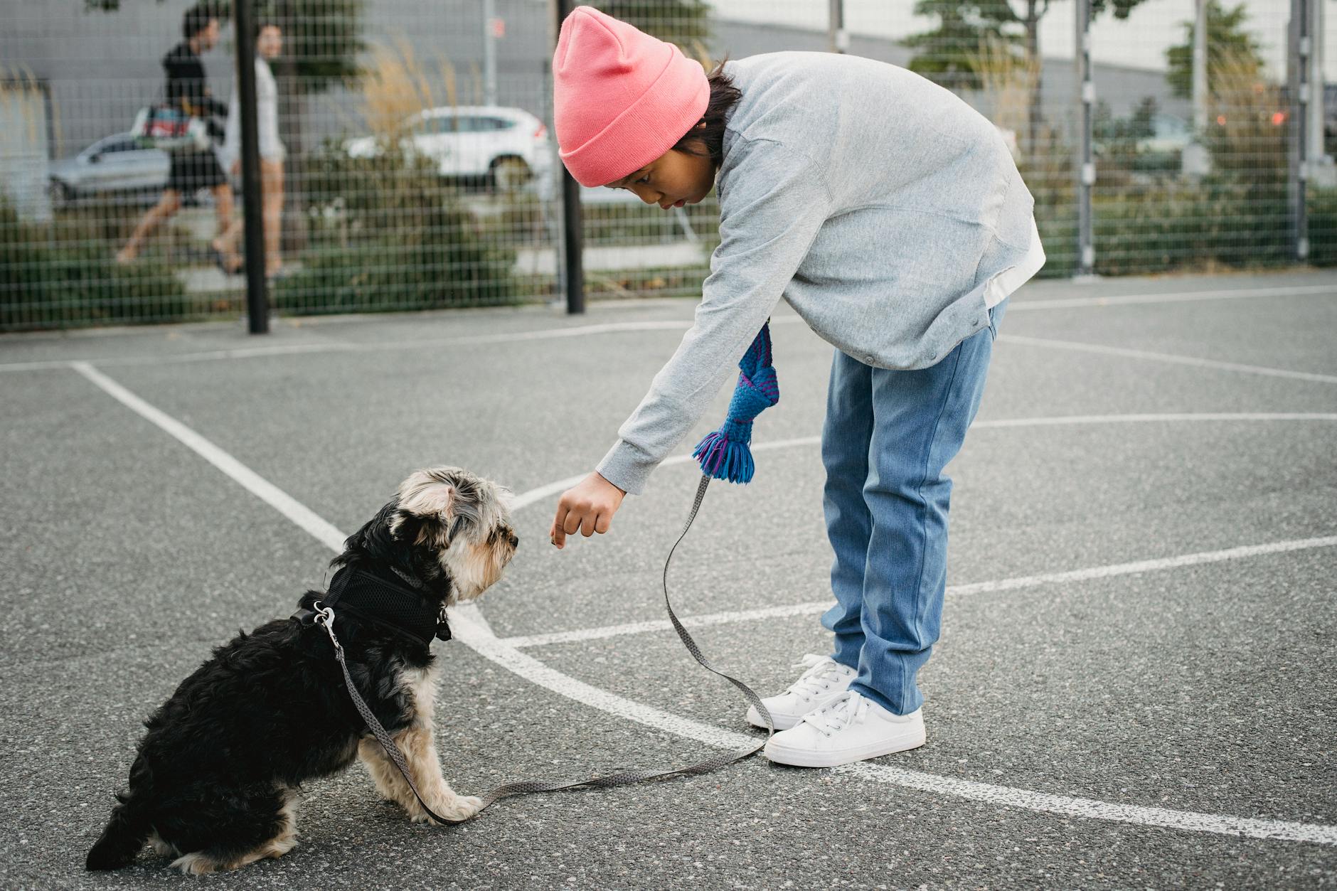 Bulldog a tükörben: Miért reagálnak furcsán a rövid orrú kutyák saját tükörképükre és hogyan fejlesztheted a kognitív képességeiket otthoni tréninggel?