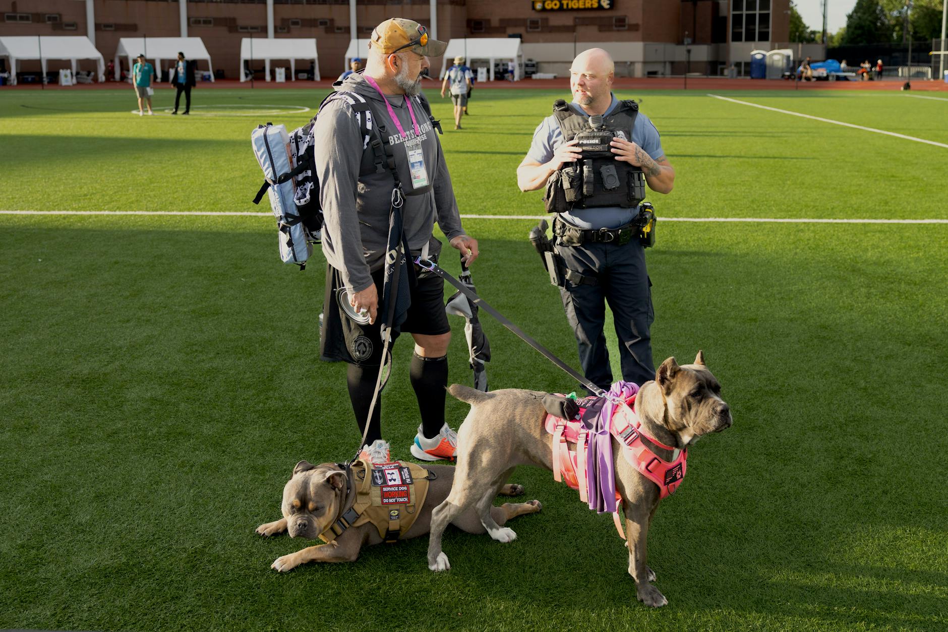 Bulldog a tükörben: Miért ugatja a saját tükörképét és hogyan segíts neki legyőzni a fajtaspecifikus viselkedési zavarokat?