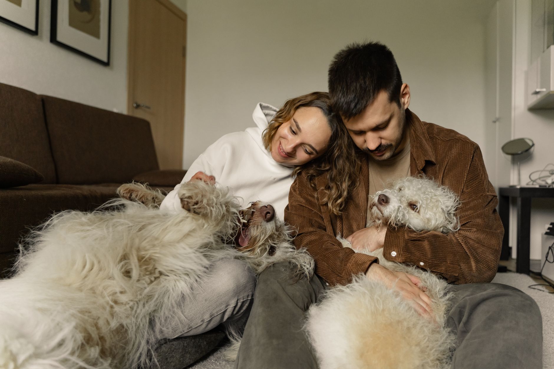 Bulldog-barát lakberendezés: Így válaszd ki a tökéletes kutyabútorokat, hogy megkíméld kedvenced ízületeit és gerincét