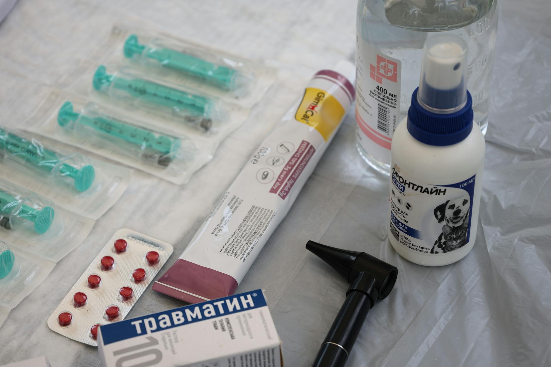 Bulldog-genetika és egészségügyi szűrések: Milyen örökletes betegségekre kérj tesztet a tenyésztőtől, hogy elkerüld a több százezres állatorvosi számlákat?